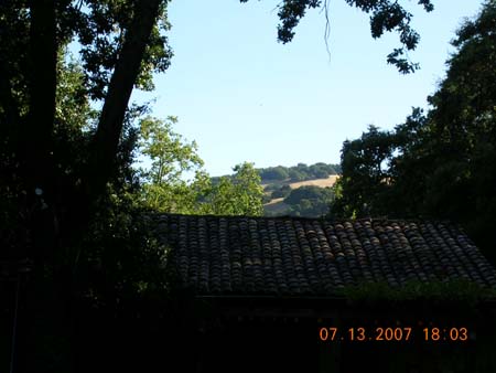 The Hills of Sonoma