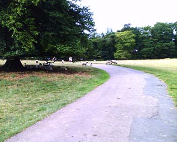 202633255_06ec5f8468