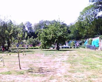 208807798_d51ea336eb