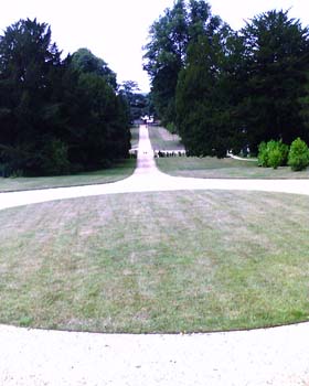 208932799_d816c1c054