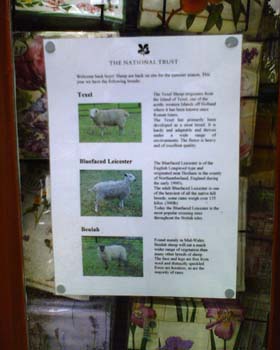 208939420_9de1b81041