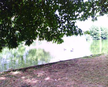 208941242_a7319096e8