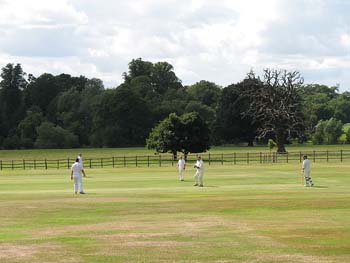 stoneleigh-cricket1