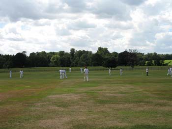 stoneleigh-cricket2