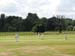 stoneleigh-cricket1