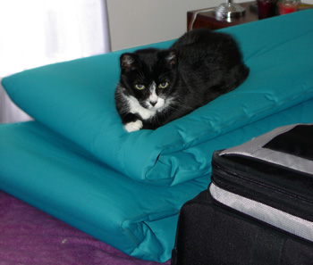 A1.PrincessAndThePea