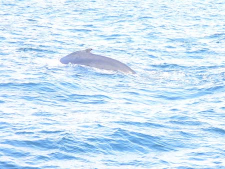 2787765115_1963571a13