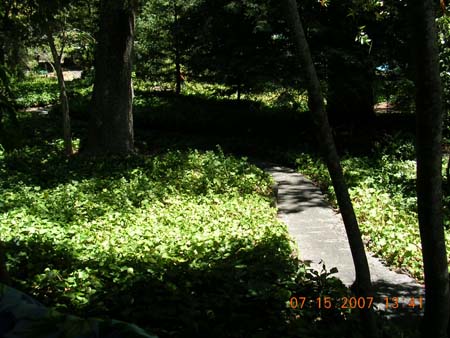 The Long and Winding Road