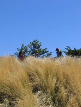 Candace, Lynn and Laurel from below the earth