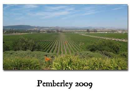 2009 Republic of Pemberley AGM - Sonoma, CA
