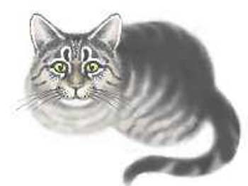 biocat