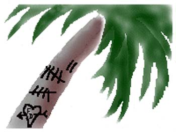 wp19